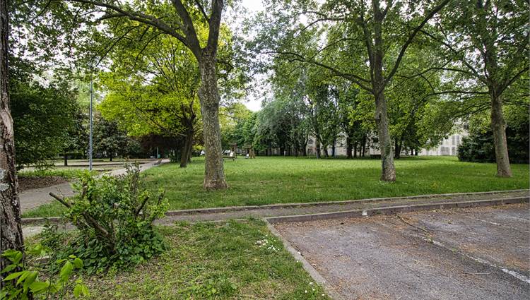 vista parco